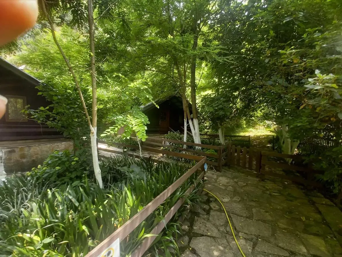 Villa Syri Kalter Saranda Albania