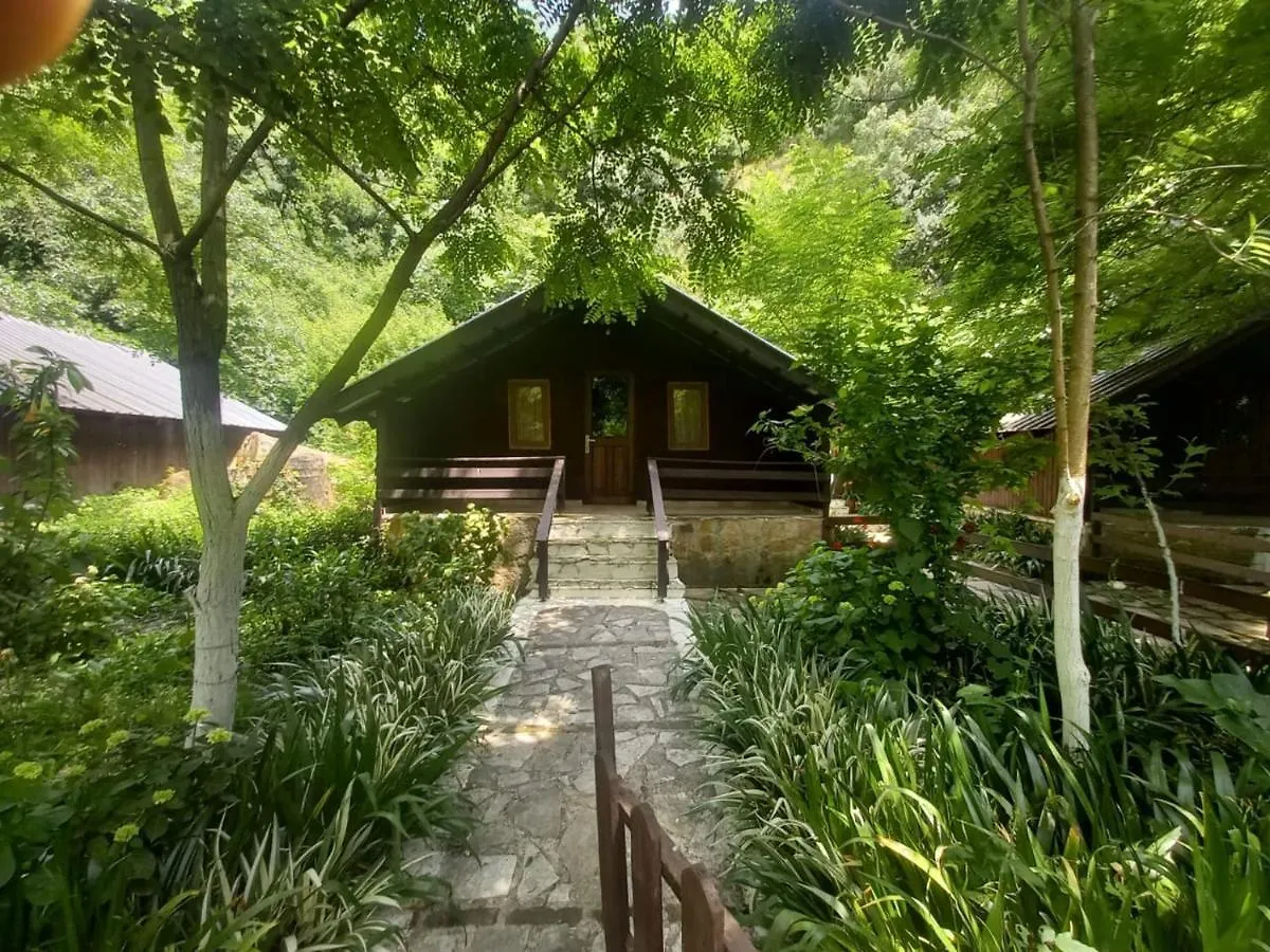Domek alpejski Villa Syri Kalter Saranda